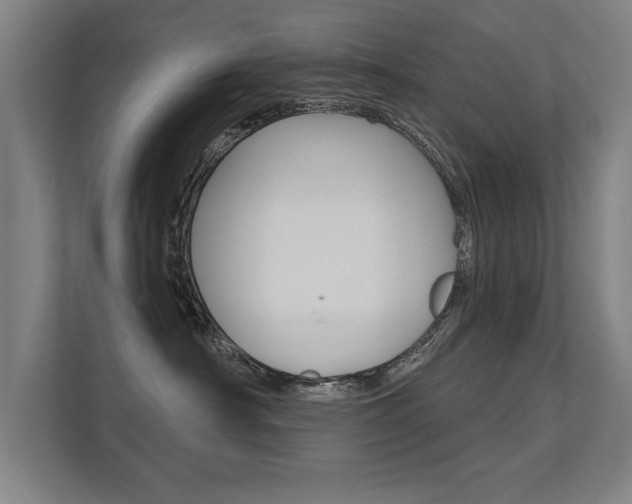 X0000112360430200908131238