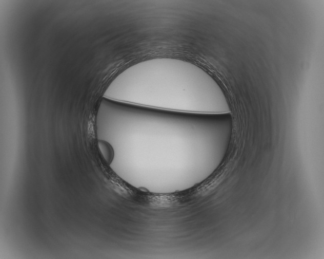 X0000112360432200908131238