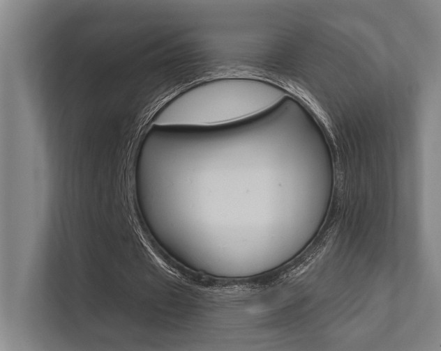 X0000112360433200908131237
