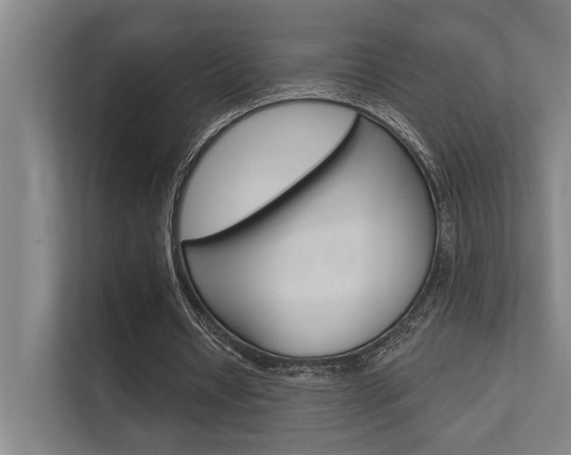 X0000112360434200908131237