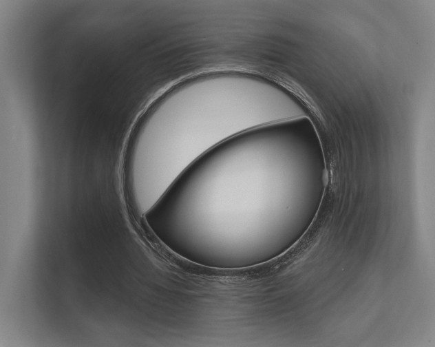 X0000112360436200908131237
