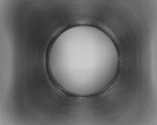 X0000112360442200908131237
