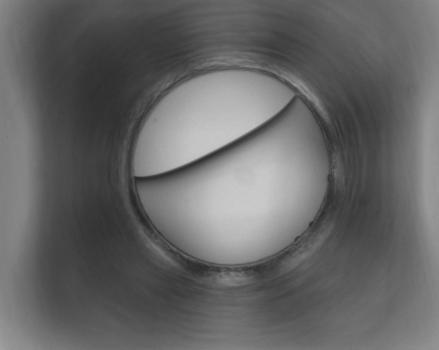 X0000112360445200908131237