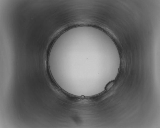 X0000112360446200908131237