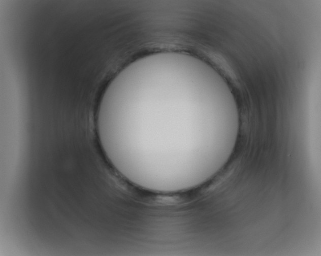 X0000112360457200908131238