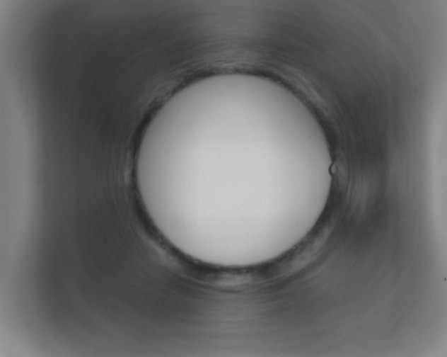 X0000112360458200908131238