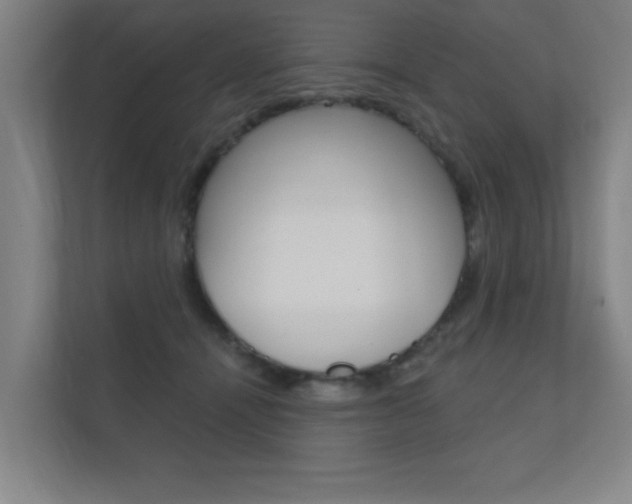 X0000112360464200908131238