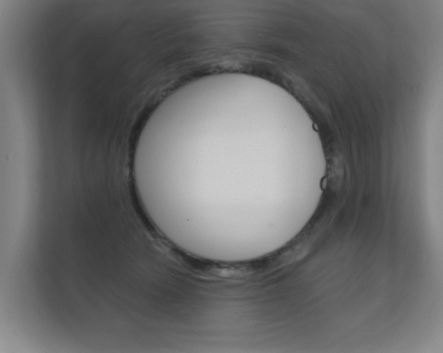 X0000112360466200908131238