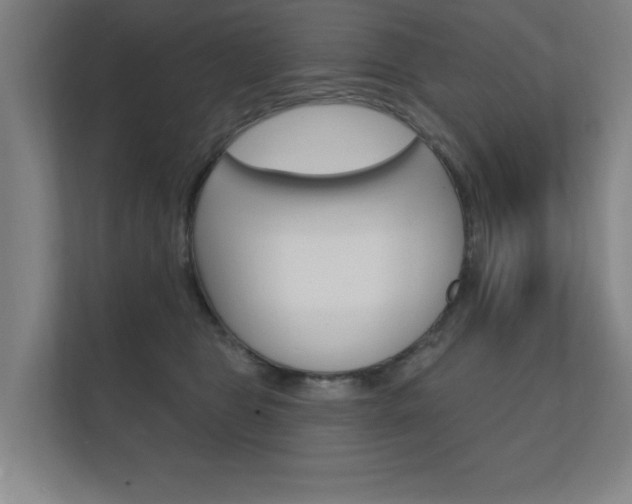 X0000112360469200908131238