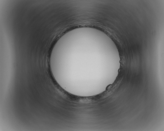 X0000112360470200908131238