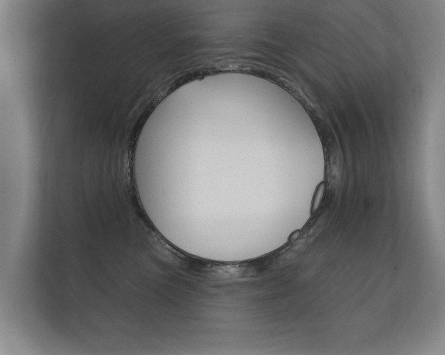 X0000112360473200908131238