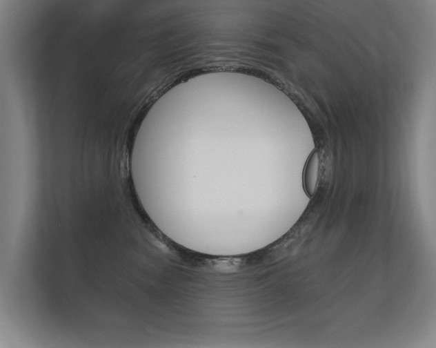X0000112360474200908131238