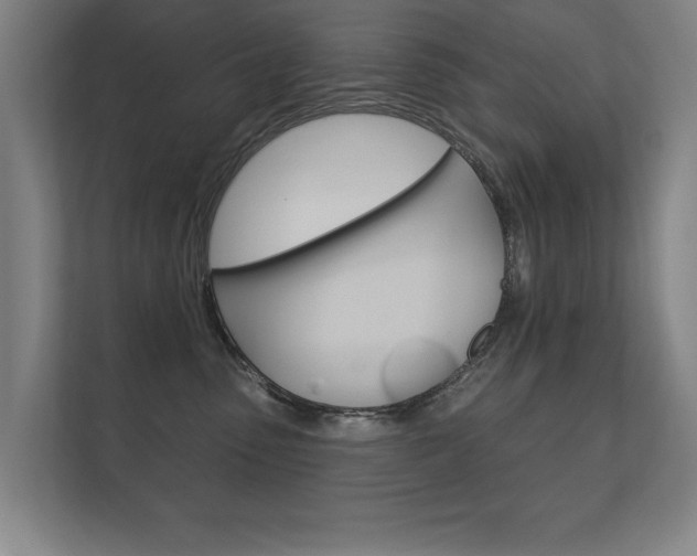 X0000112360475200908131238