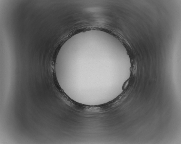 X0000112360476200908131238