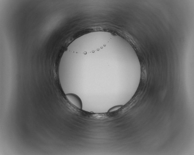 X0000112360477200908131238