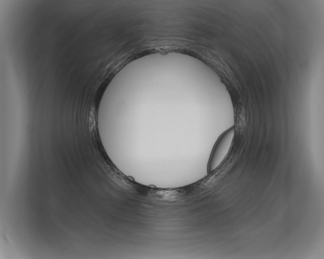 X0000112360478200908131238