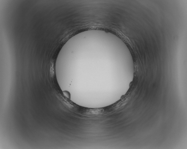X0000112360479200908131238