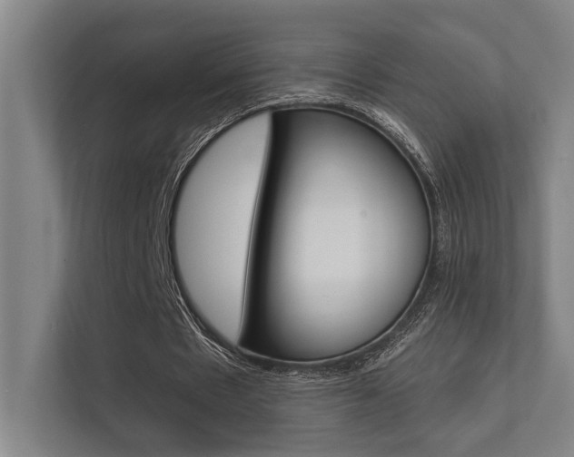 X0000112360481200908131237