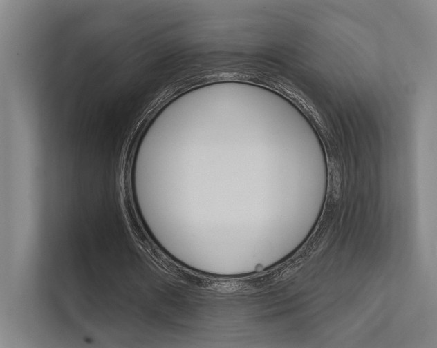 X0000112360482200908131237