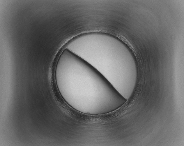 X0000112360483200908131237