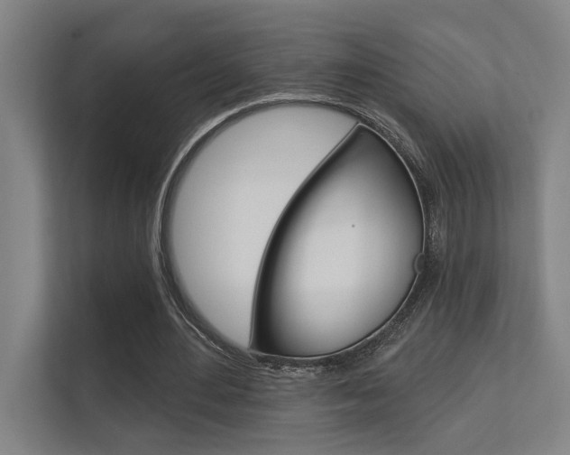 X0000112360484200908131237