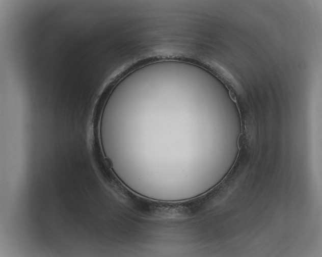 X0000112360488200908131237