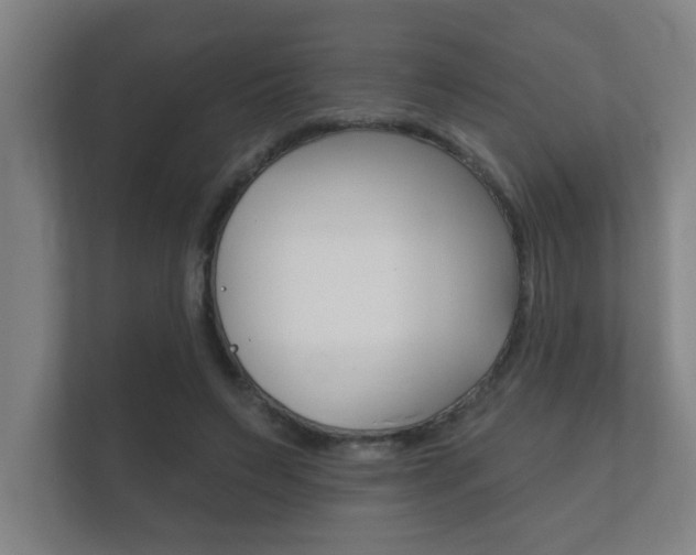 X0000112360495200908131237