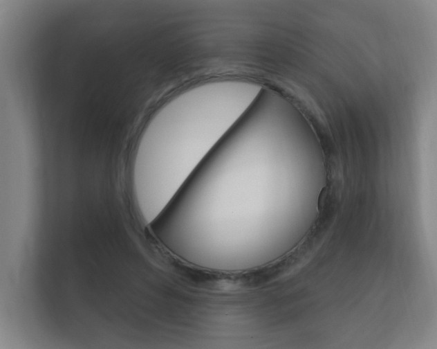 X0000112360496200908131237