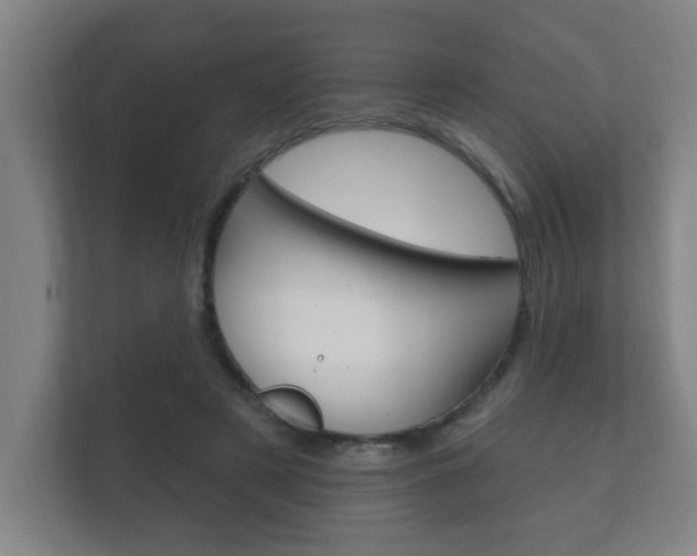 X0000112360497200908131237