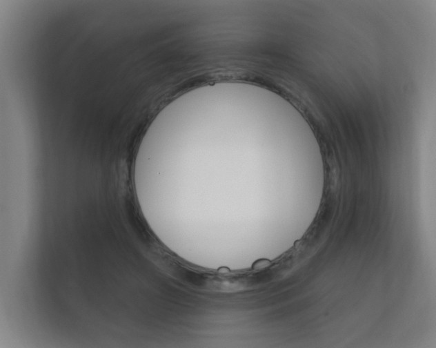 X0000112360498200908131237