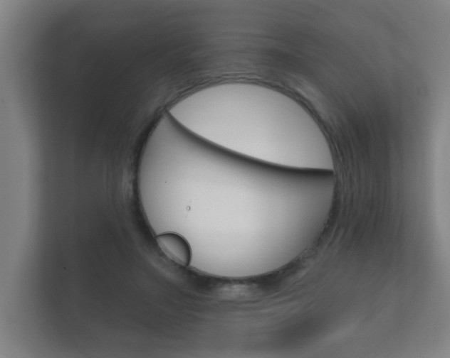 X0000112360499200908131237