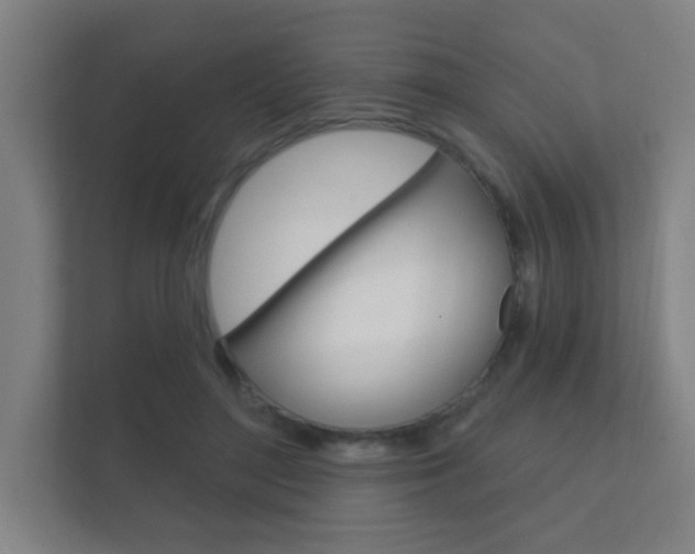 X0000112360500200908131237