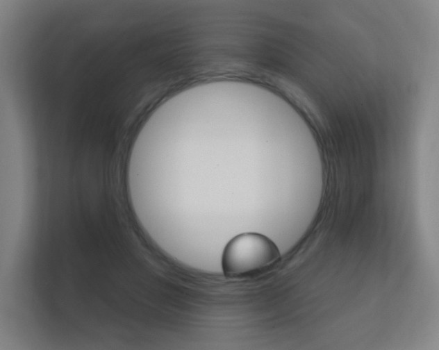 X0000112360501200908131237