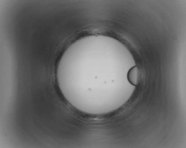 X0000112360506200908131237