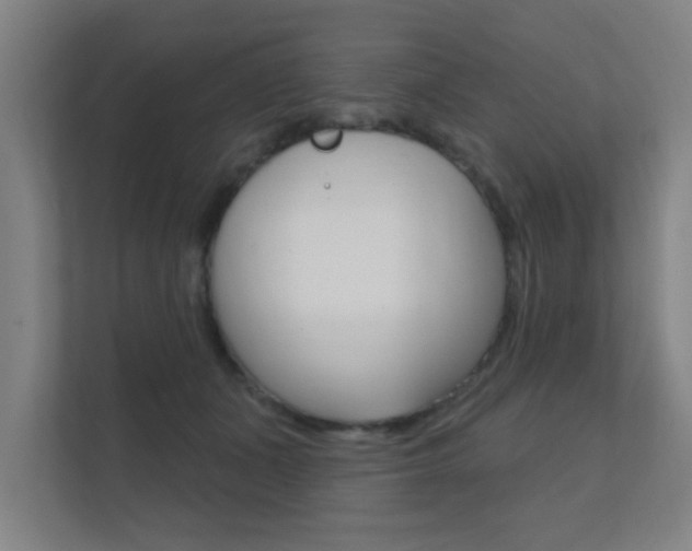 X0000112360511200908131237