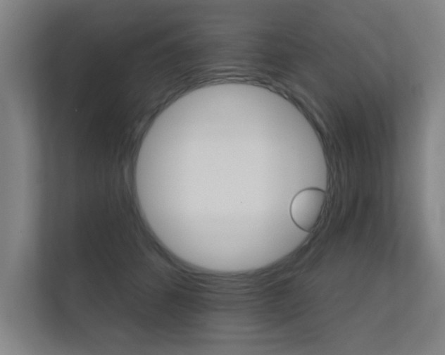 X0000112360512200908131237