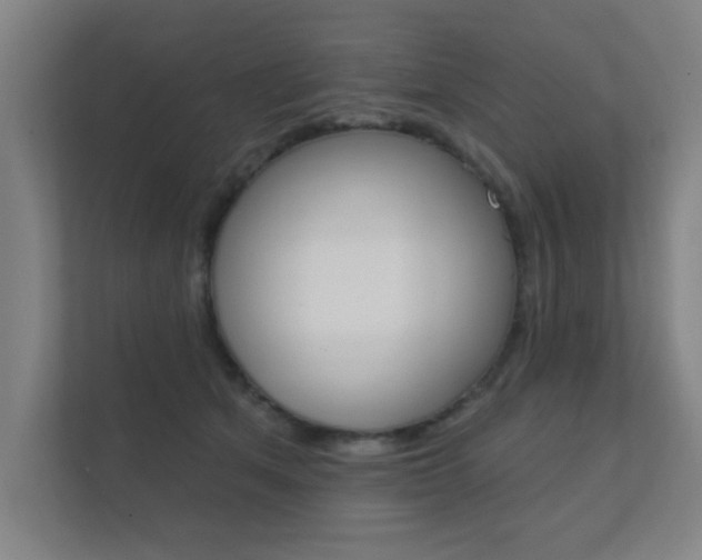 X0000112360513200908131237