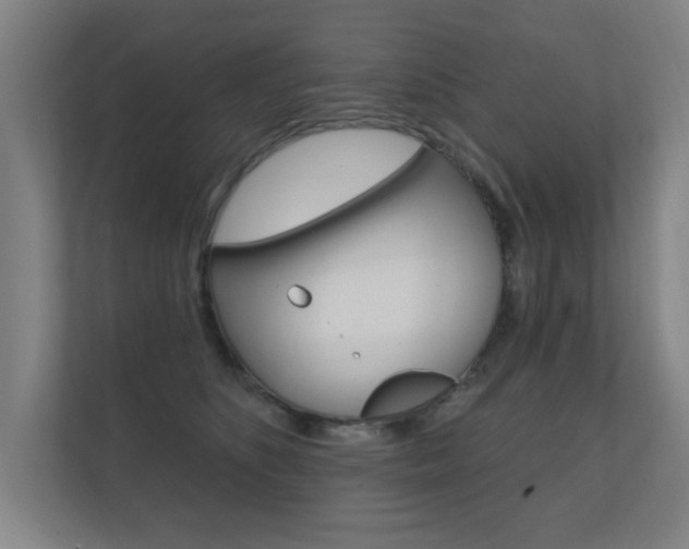 X0000112360516200908131237