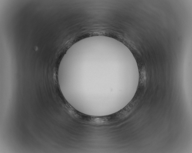 X0000112360522200908131237