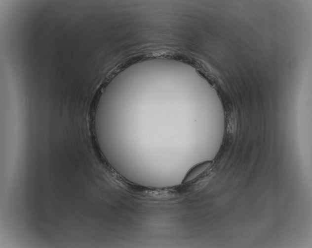 X0000112360524200908131237