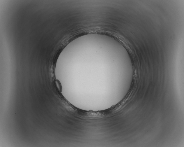 X0000112360525200908131237