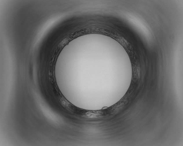 X0000112360526200908131237