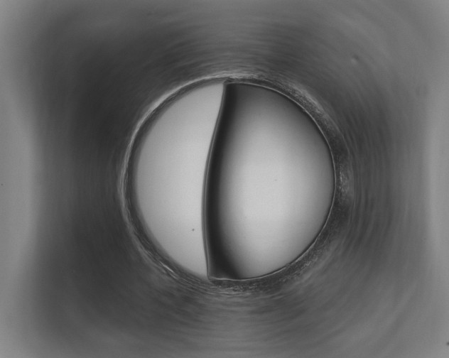 X0000112360532200908131236