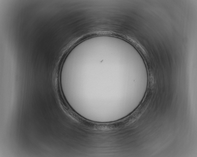 X0000112360533200908131236