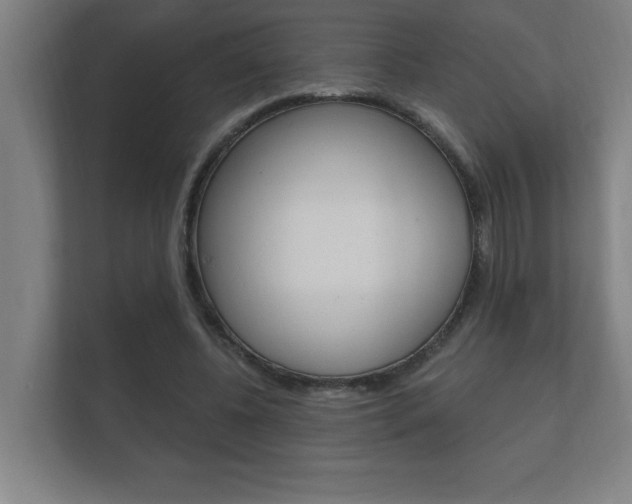 X0000112360540200908131236