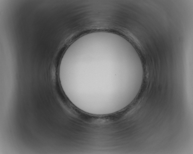 X0000112360542200908131236