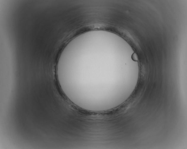 X0000112360545200908131236