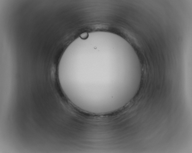 X0000112360550200908131236