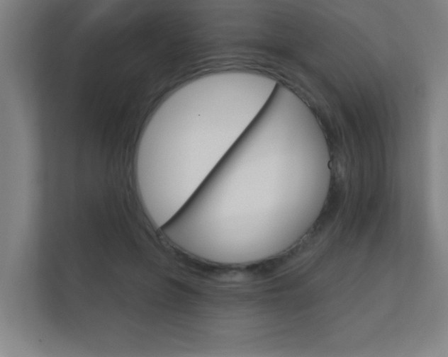 X0000112360551200908131236