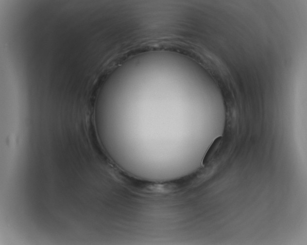 X0000112360558200908131236